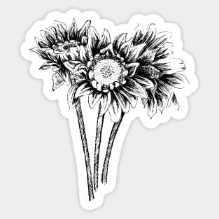 Sketch of Sunflowers Sticker